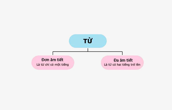 Âm tiết là gì? Khái niệm và cấu trúc của âm tiết