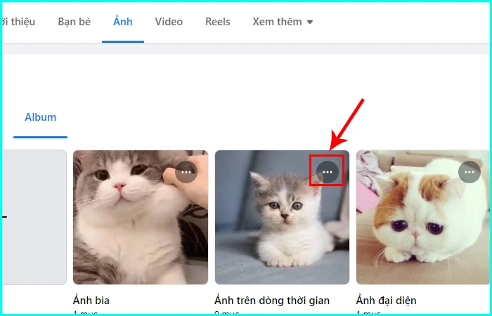 cách tải toàn bộ album ảnh trên Facebook
