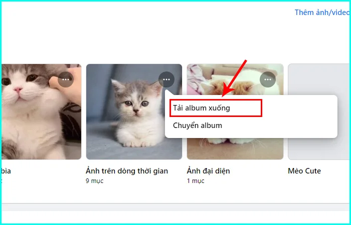 cách tải toàn bộ album ảnh trên Facebook