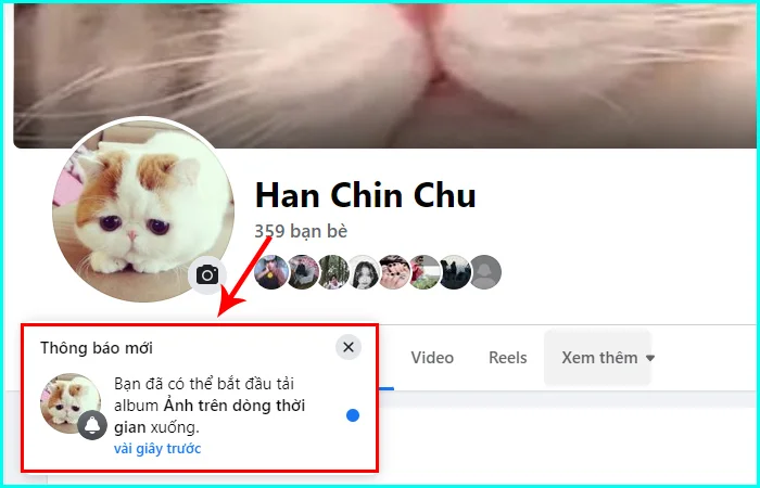 cách tải toàn bộ album ảnh trên Facebook