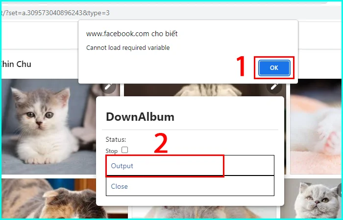 cách tải toàn bộ album ảnh trên facebook bằng tiện ích downalbum