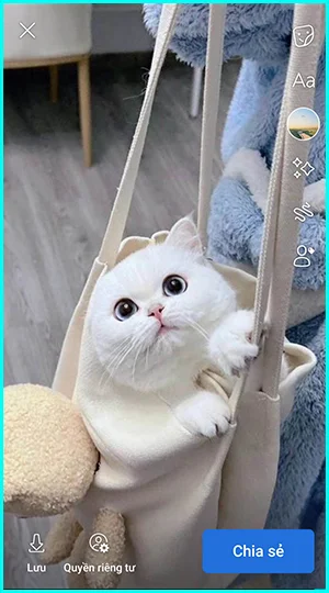 hướng dẫn cách ẩn tên bài hát trên