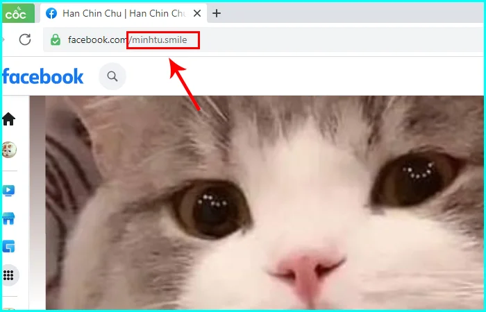 lấy lại mật khẩu facebook khi dùng 1 số điện thoại cho 2 tài khoản facebook