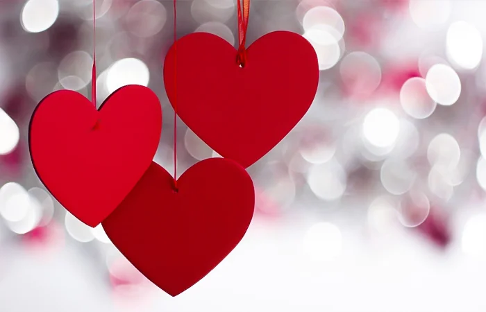 Aku cinta kamu là gì?