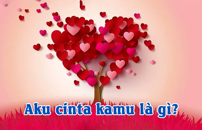 Aku cinta kamu là gì? Aku cinta kamu là tiếng nước nào?