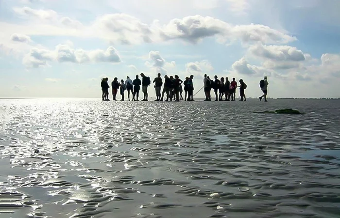 Biển Wadden là gì