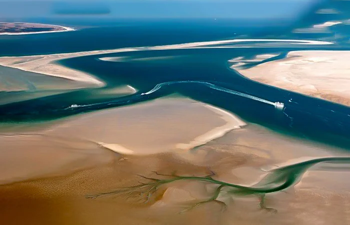 Biển Wadden là gì? Tại sao biển Wadden được Google Doodle tôn vinh?