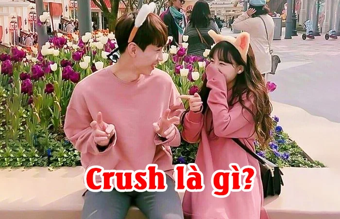 Crush là gì? Crush là gì trong tình yêu? Crush là gì trên Facebook?