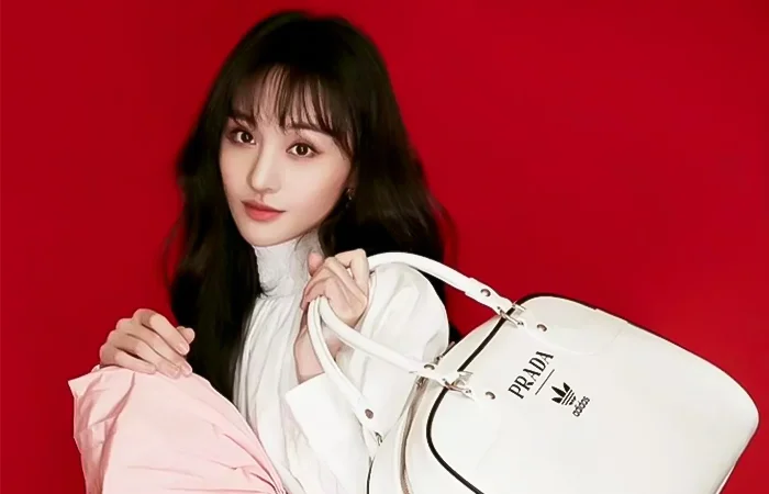 house ambassador là gì