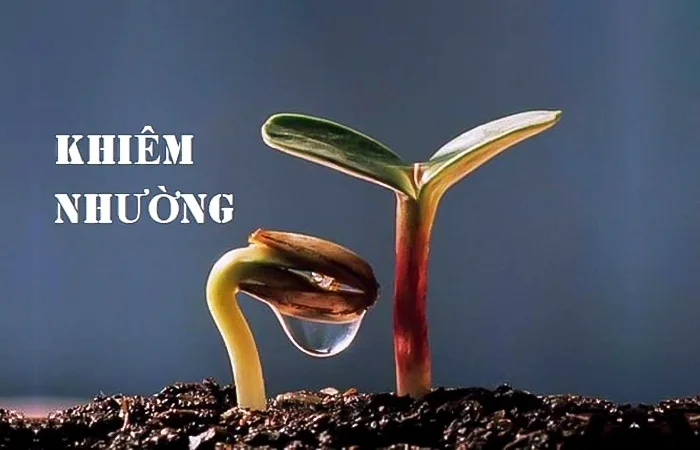 khiêm tốn là gì