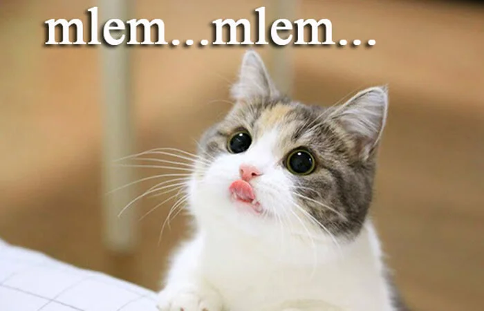 Mlem mlem là gì? Mlem mlem là gì trên Facebook?