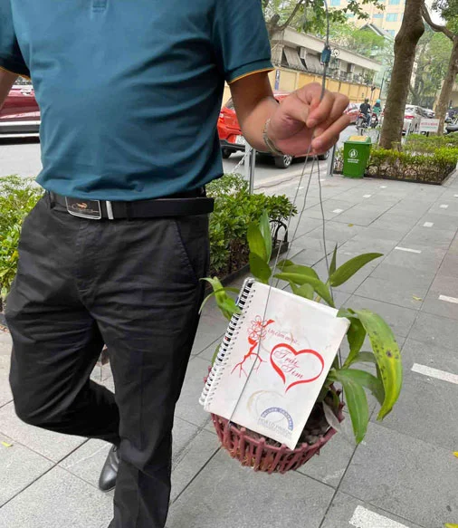 no backpack day là gì