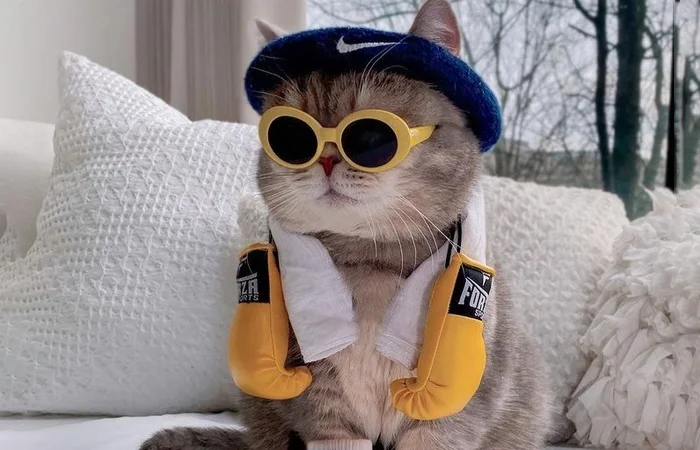 Con Sen là gì? Ý nghĩa và nguồn gốc của từ Con Sen