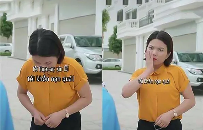 giả chân là gì