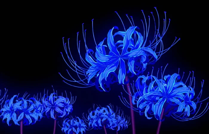 hoa bỉ ngạn là gì