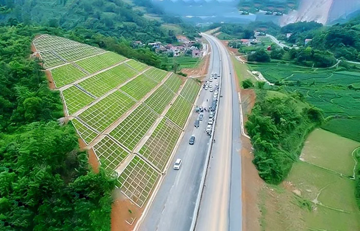 Taluy là gì? Taluy âm là gì? Taluy dương là gì?