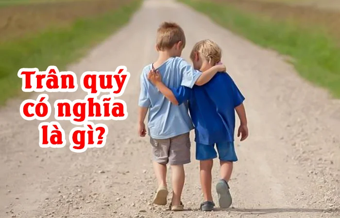 Trân quý có nghĩa là gì? Ý nghĩa của việc Trân quý là gì?