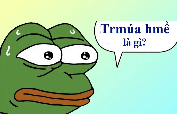 Trmúa hmề là gì? Ý nghĩa của từ Trmúa hmề trên Facebook