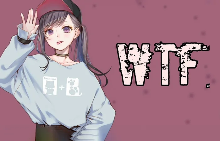 WTF là gì? WTF được bắt nguồn từ đâu?