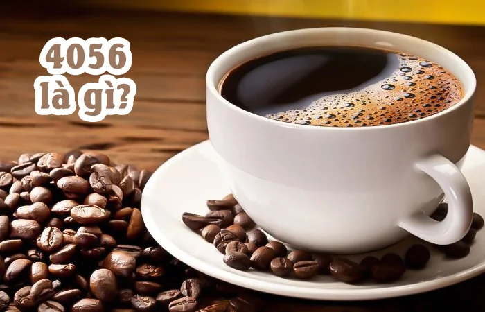 4056 là gì? Giải mã ý nghĩa của con số 4056