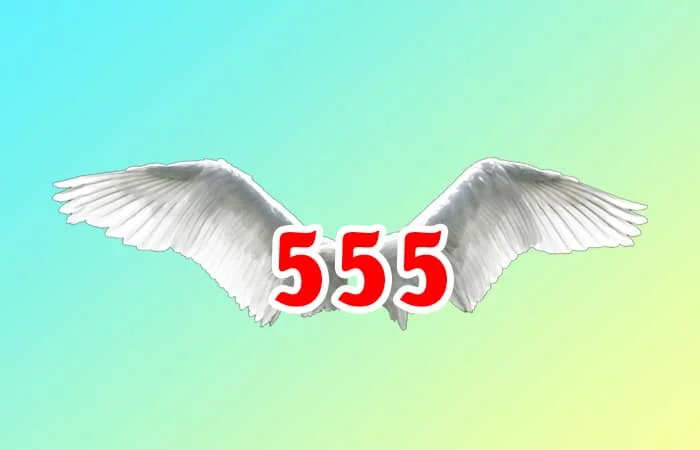 555 có nghĩa là gì