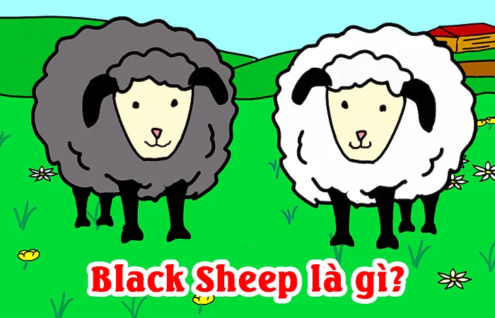 Black Sheep là gì? Ý nghĩa của từ Black Sheep