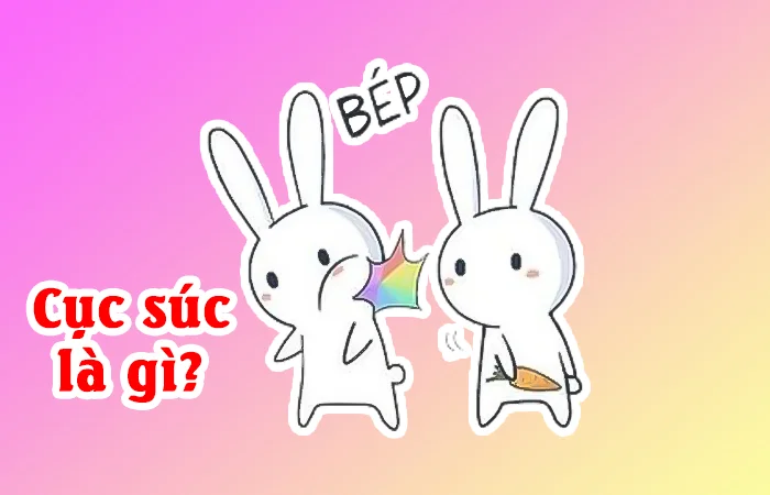 Cục súc là gì? Nói chuyện cục súc là gì? Cục súc hay cục xúc mới đúng chính tả