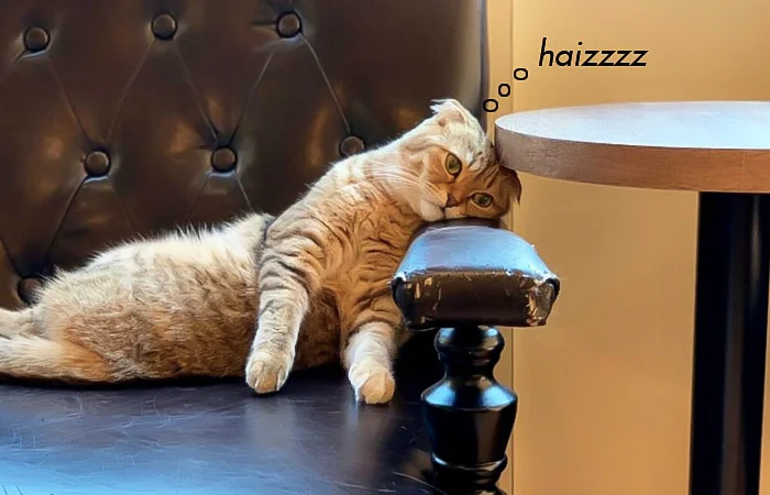 Haizz là gì? Haizz là gì trên Facebook và trong tình yêu