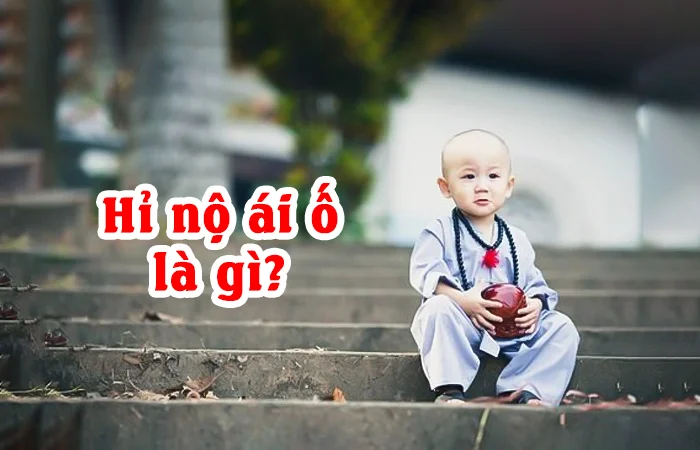 Hỉ nộ ái ố là gì? Ý nghĩa của từ hỉ nộ ái ố? Hỉ nộ ái ố trong phật giáo