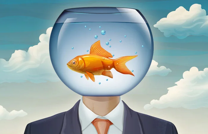 não cá vàng là gì