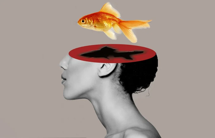 não cá vàng là gì