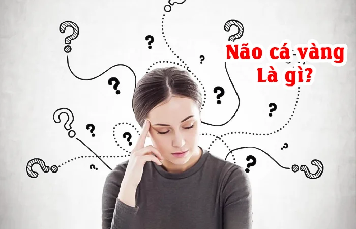 Não cá vàng là gì? Não cá vàng dùng để nói về những người nào?