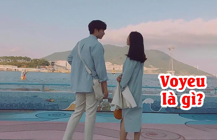 Voyeu là gì? Voyeur là gì? Ý nghĩa và nguồn gốc của từ Voyeu và Voyeur