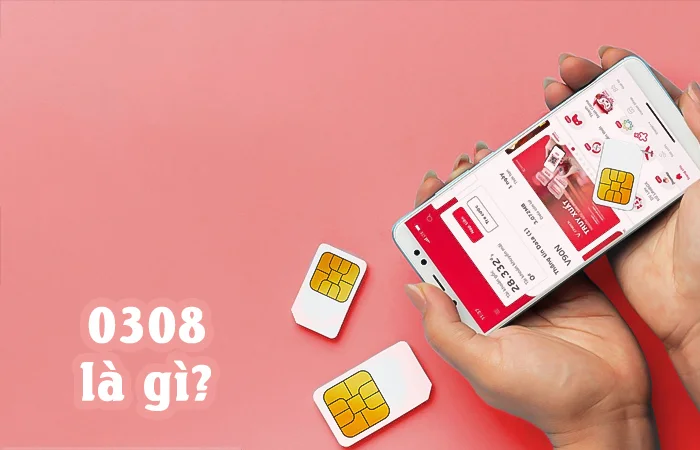 0308 là gì? Ý nghĩa của số đuôi sim 0308 trong phong thủy