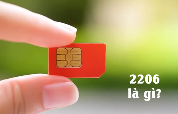 2206 là gì? Ý nghĩa số đuôi sim 2206 trong phong thủy là gì?