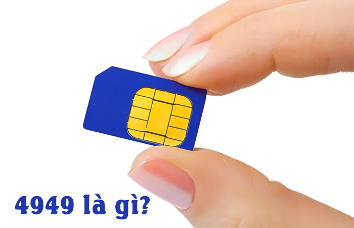 4949 là gì