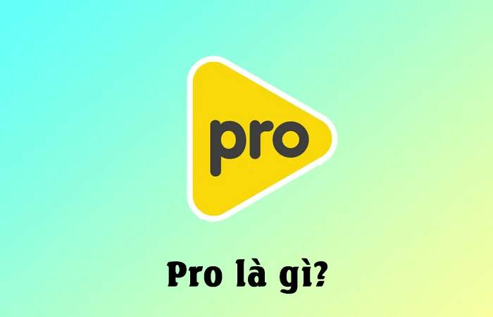 Pro là gì? Pro là gì trên Facebook? Ý nghĩa của từ Pro