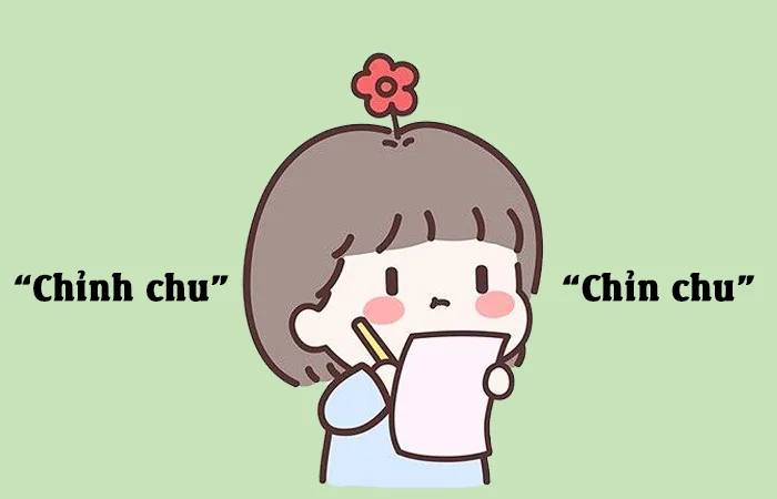 Chỉnh chu hay Chỉn chu từ nào mới đúng chính tả?