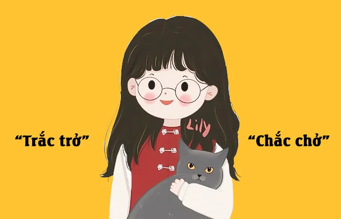 Trắc trở hay Chắc chở từ nào viết đúng chính tả?