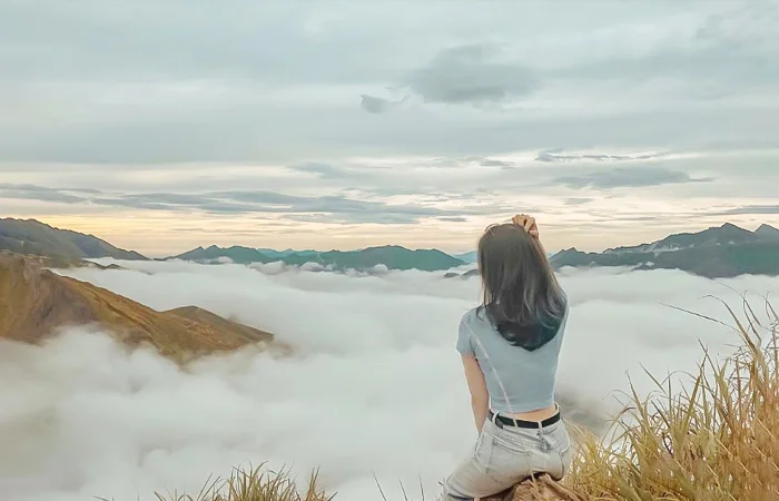 nằm mơ đi lạc đường