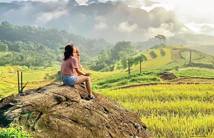 nằm mơ đi lạc đường