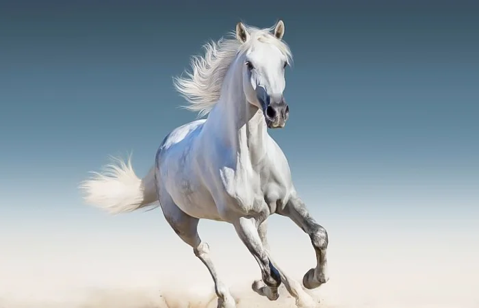 con ngựa số mấy