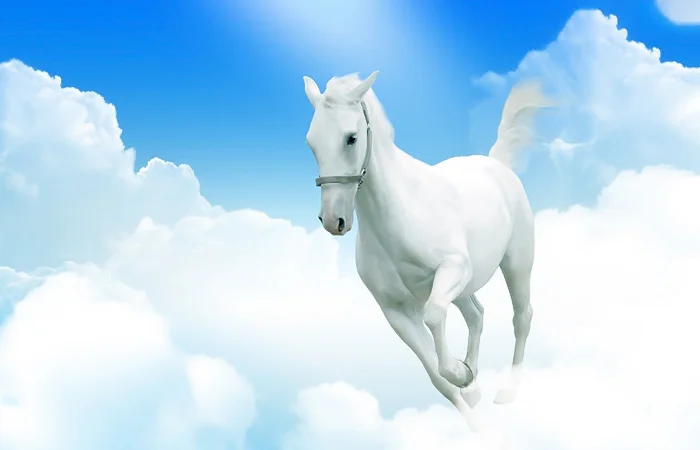 Con Ngựa số mấy? Nằm mơ thấy con ngựa có điềm báo gì? Lành hay dữ?