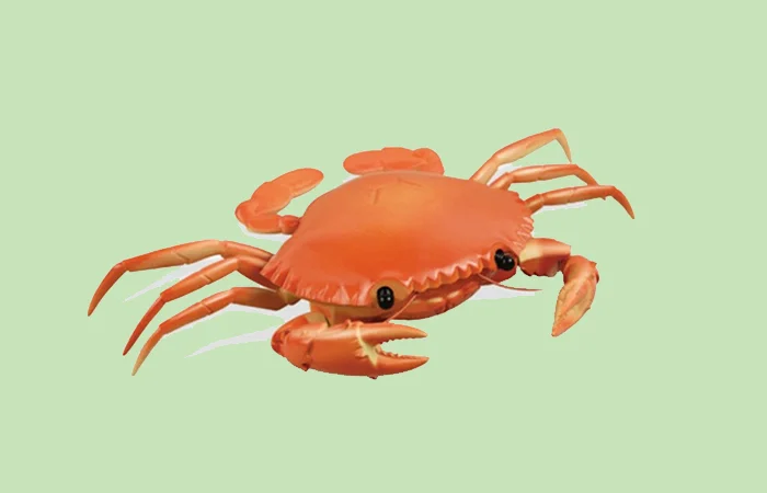 nằm mơ thấy con cua