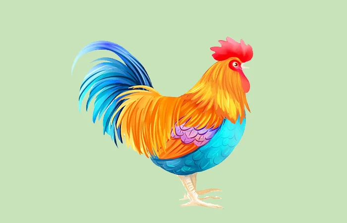 nằm mơ thấy con gà