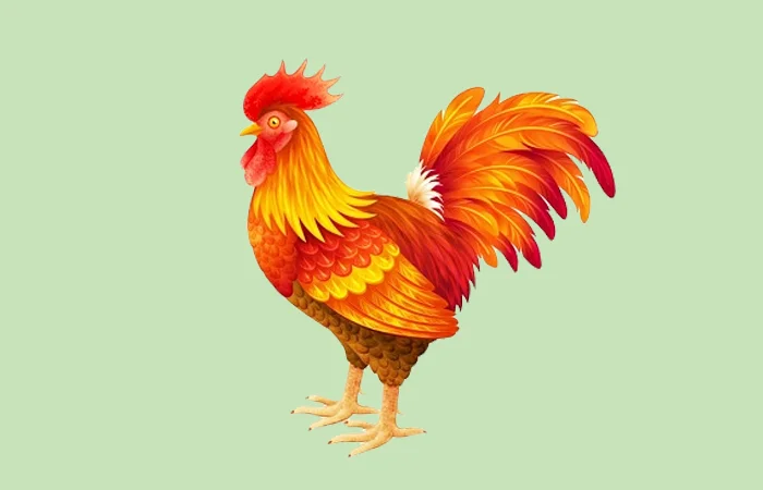 Con Gà số mấy? Nằm mơ thấy con Gà có điềm báo gì? Tốt hay xấu?