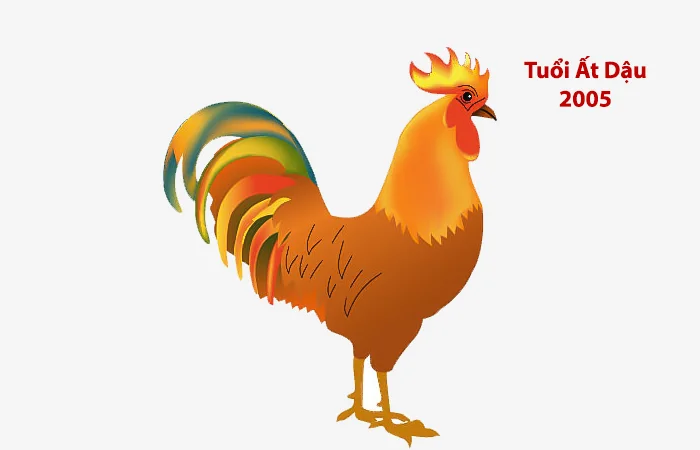 Tuổi Ất Dậu 2005 hợp màu gì? Màu sắc may mắn của tuổi Ất Dậu 2005