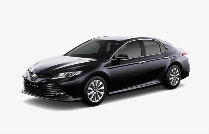 tuổi bính tuất 2006 hợp xe màu gì