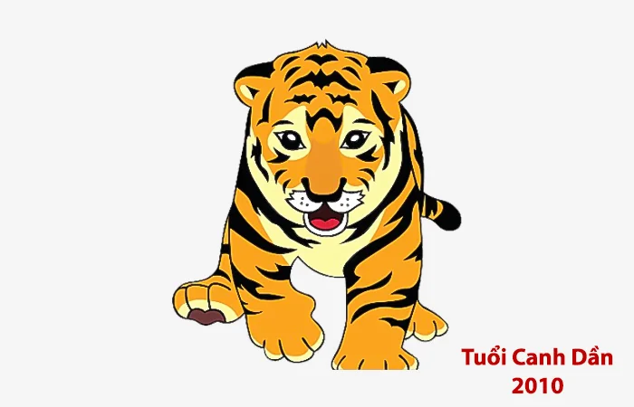 Tuổi Canh Dần 2010 hợp màu gì? Màu sắc may mắn của tuổi Canh Dần 2010