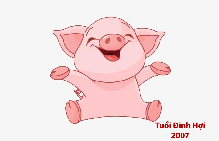 Tuổi Đinh Hợi 2007 hợp màu gì? Màu sắc may mắn của tuổi Đinh Hợi 2007